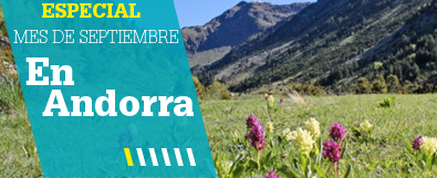 Hoteles en Andorra para Septiembre