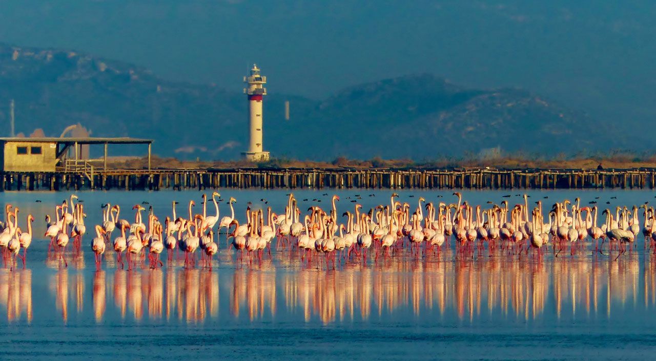 Delta del Ebro - Barco Delta del Ebro