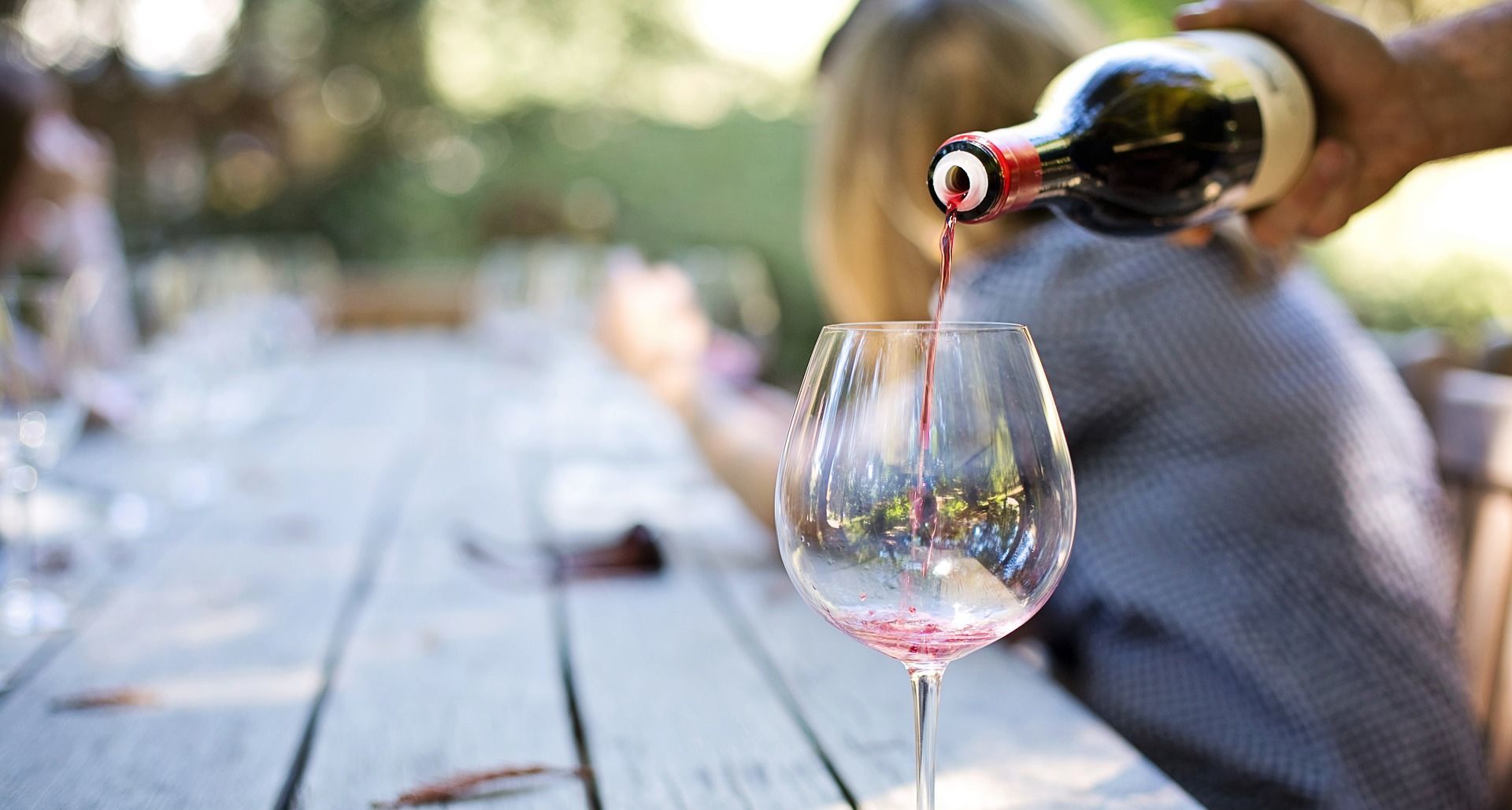Excursiones enológicas - Descubre el placer del vino