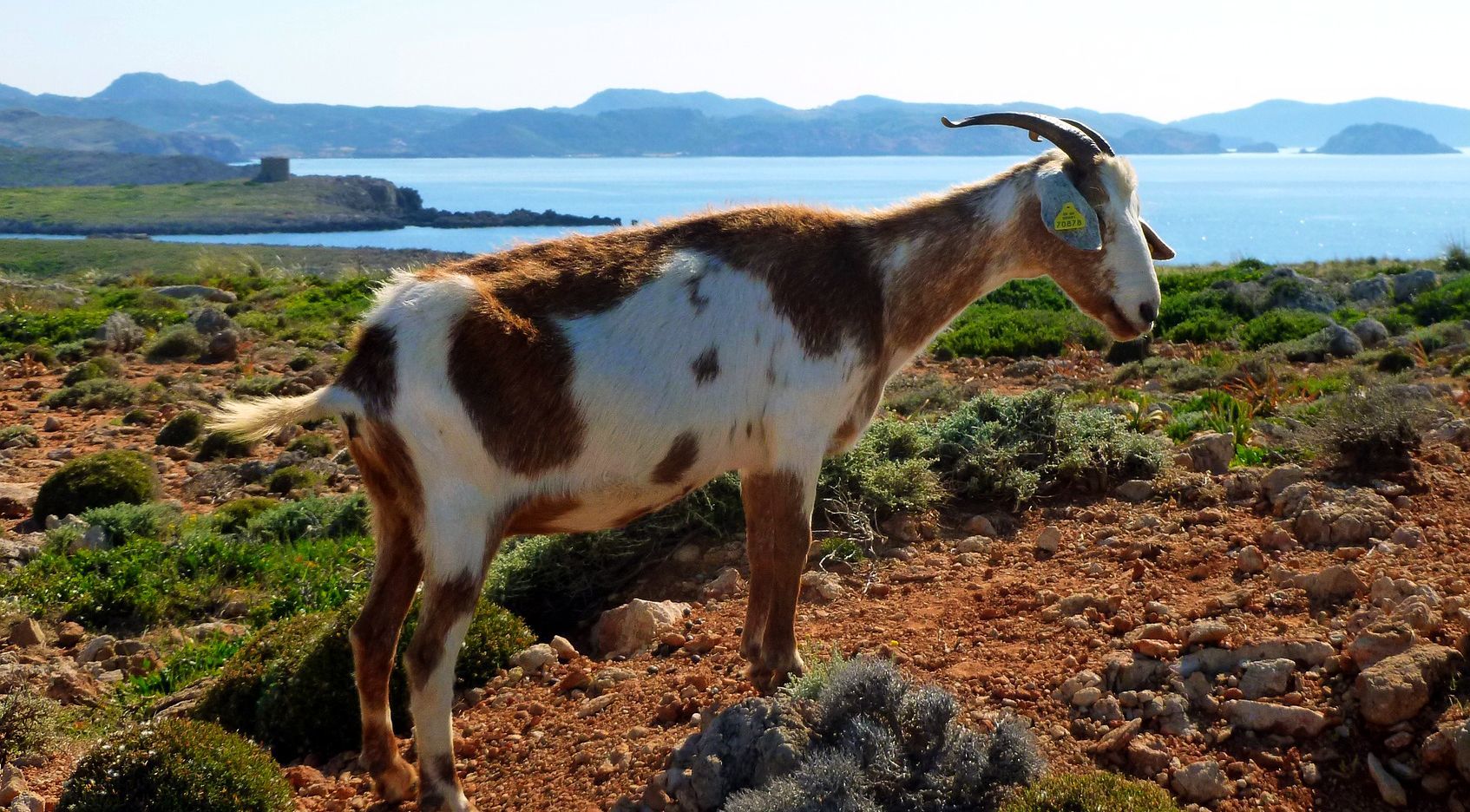 Menorca - Imprégnate de la belleza mediterránea