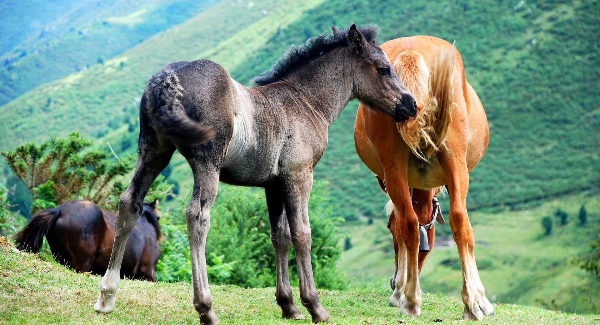 Asturias - Descubre su paraíso natural