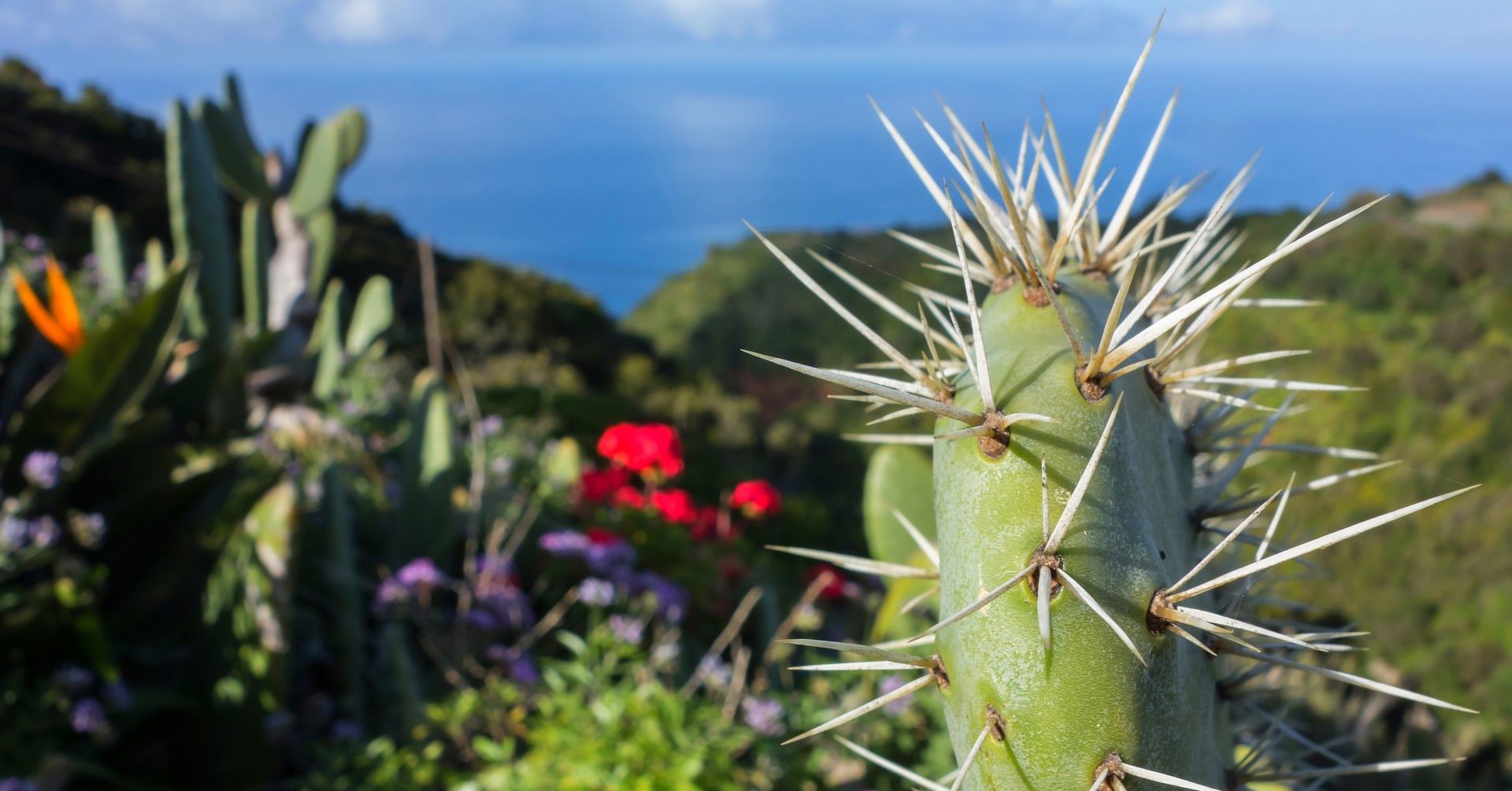 Tenerife - Descubre su naturaleza volcánica