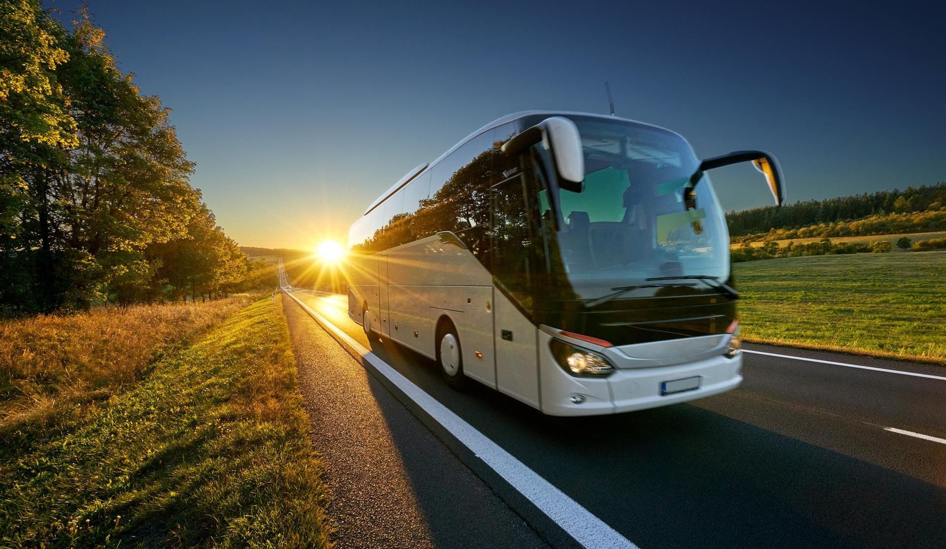 ¡Descubre nuestras excursiones con autocar!
