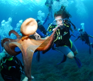 Buceo en Ibiza