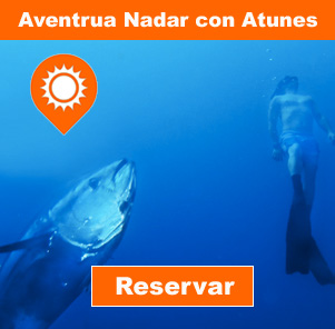 Reservar Aventura Nadar con Atunes