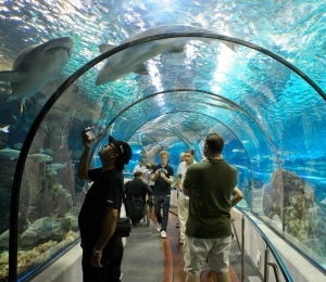 Entradas Aquarium Barcelona