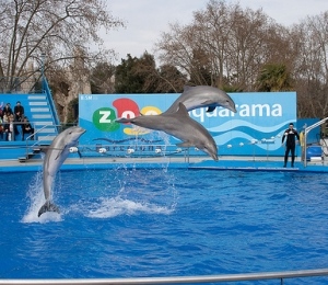 Entradas Zoo Barcelona