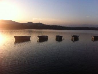 Viaje en Barco por Llac de Banyoles