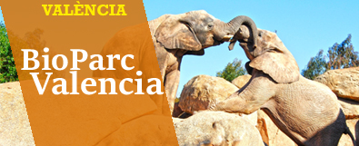 Ofertas Bioparc Valencia