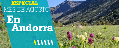 Hoteles en Andorra para Agosto