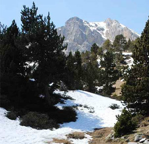 HOTELES BARATOS EN LOS PIRINEOS hoteles baratos en los pirineos: