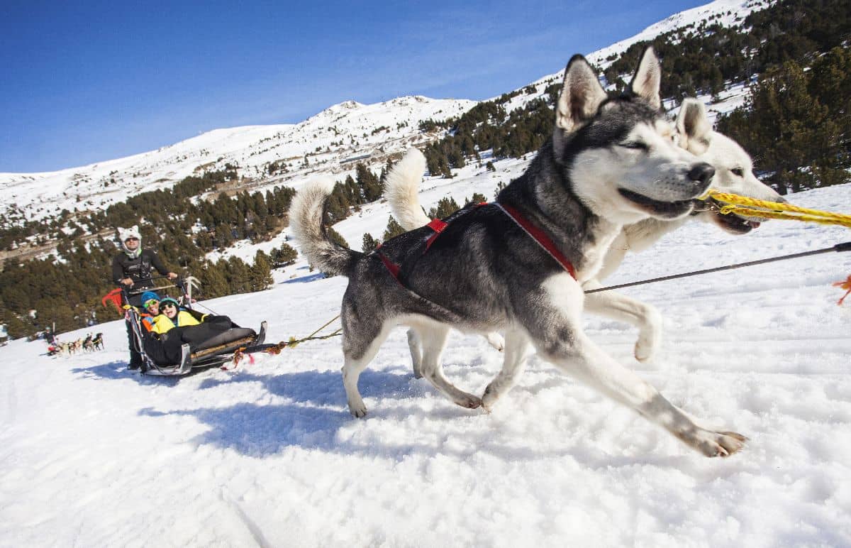 Hotel Andorra + Mushing - Alojamientos en Andorra la Vella