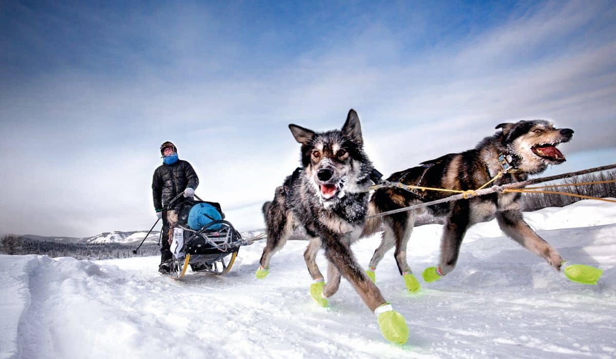 Hotel Andorra + Mushing - Alojamientos en Andorra la Vella