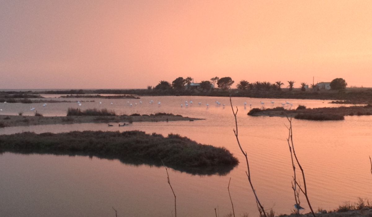 Hotel + Excursión en Barco en el Delta del Ebro - Alojamientos en Deltebre