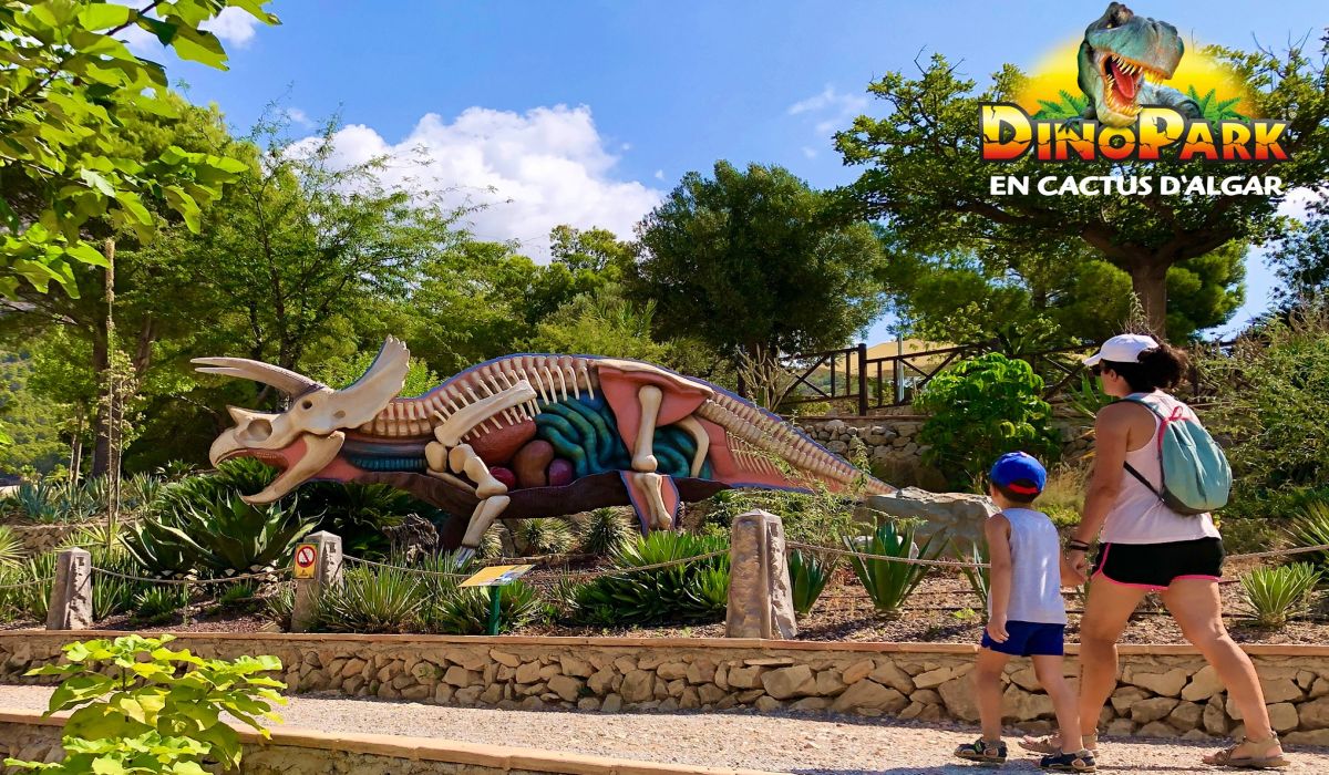 Hotel + Entradas DinoPark Algar - Alojamientos en Benidorm