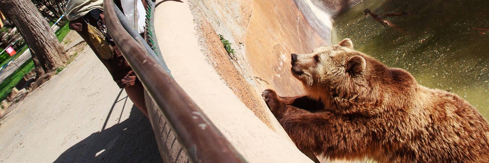 Hotel + Entradas Zoo Barcelona - Alojamientos en Barcelona