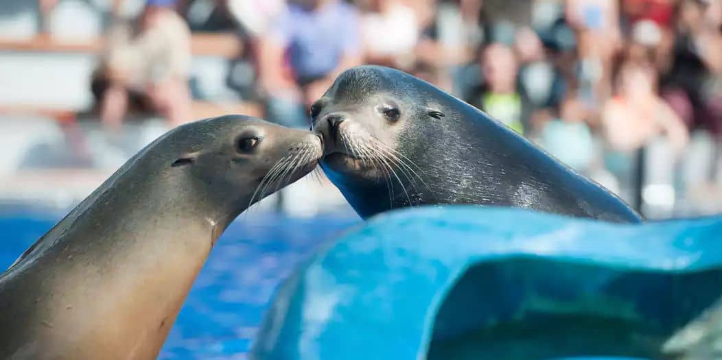 Hotel + Entradas Marineland Mallorca - Alojamientos en Portals Nous