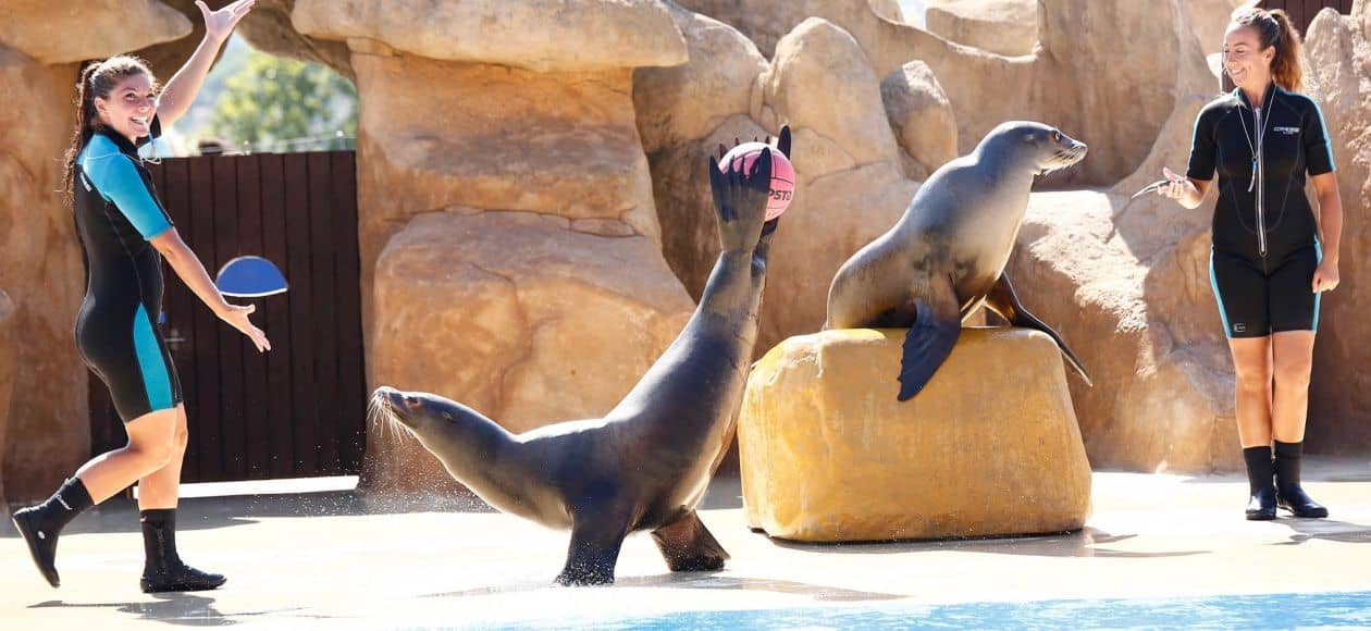 Hotel + Entradas Marineland Catalunya - Alojamientos en Palafolls