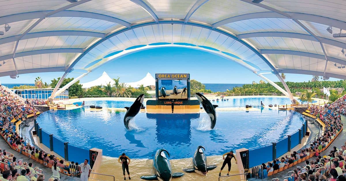 Hotel + Entradas Loro Parque Tenerife - Alojamientos en Puerto de la Cruz