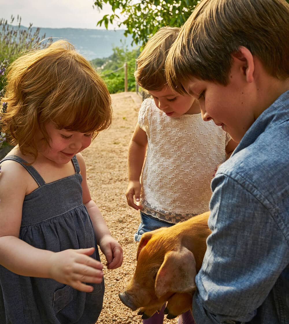 Escapada a Granja para visitar con niños cerca de Barcelona - Alojamientos en Vic