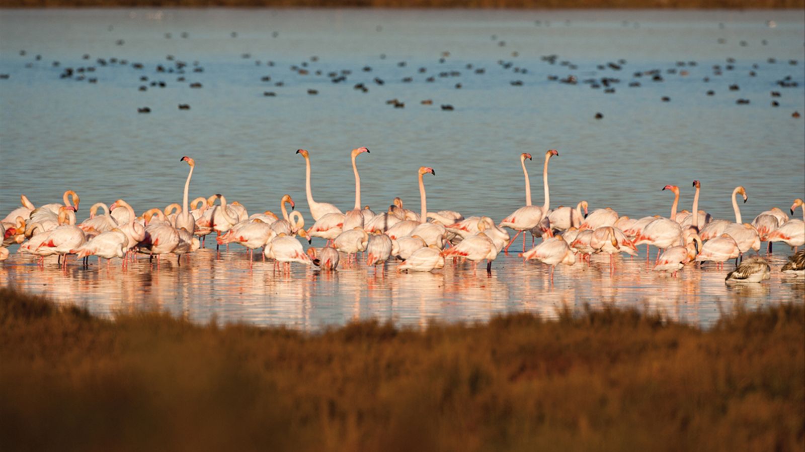 Escapada Delta del Ebro en familia, descubre MónNatura - Alojamientos en Deltebre