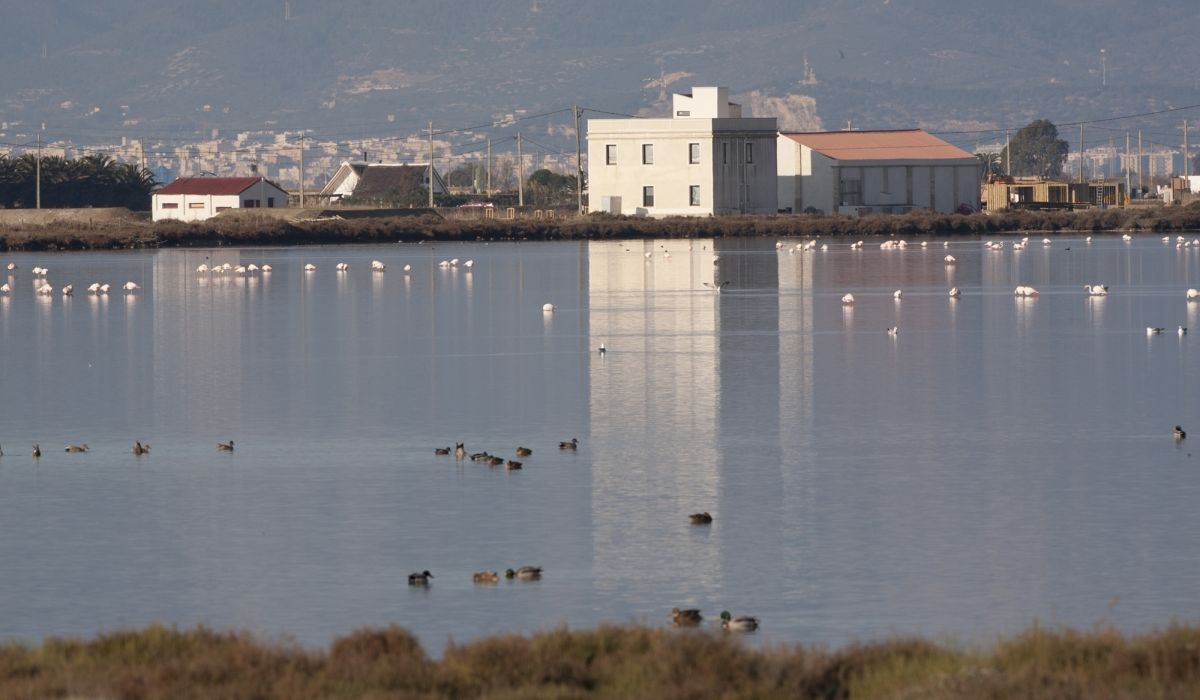 Escapada Delta del Ebro en familia, descubre MónNatura - Alojamientos en Deltebre