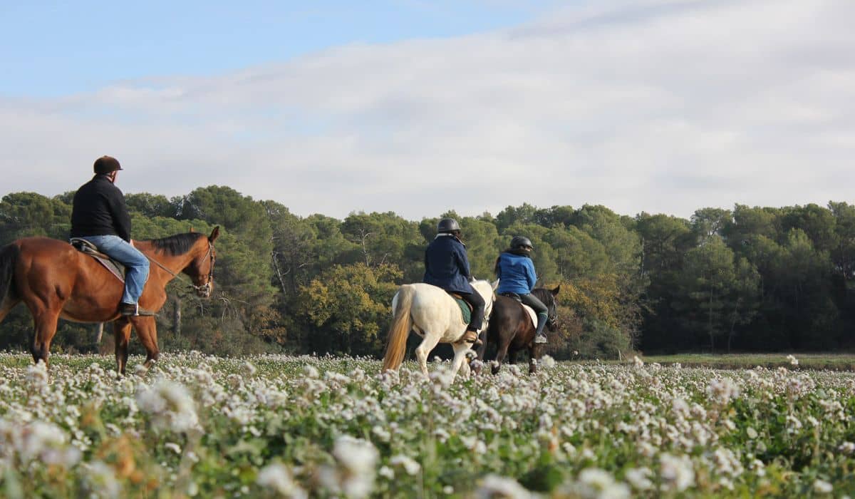 Escapada Excursión a caballo o poni por el Maresme y  Hotel - Alojamientos en Santa Susanna