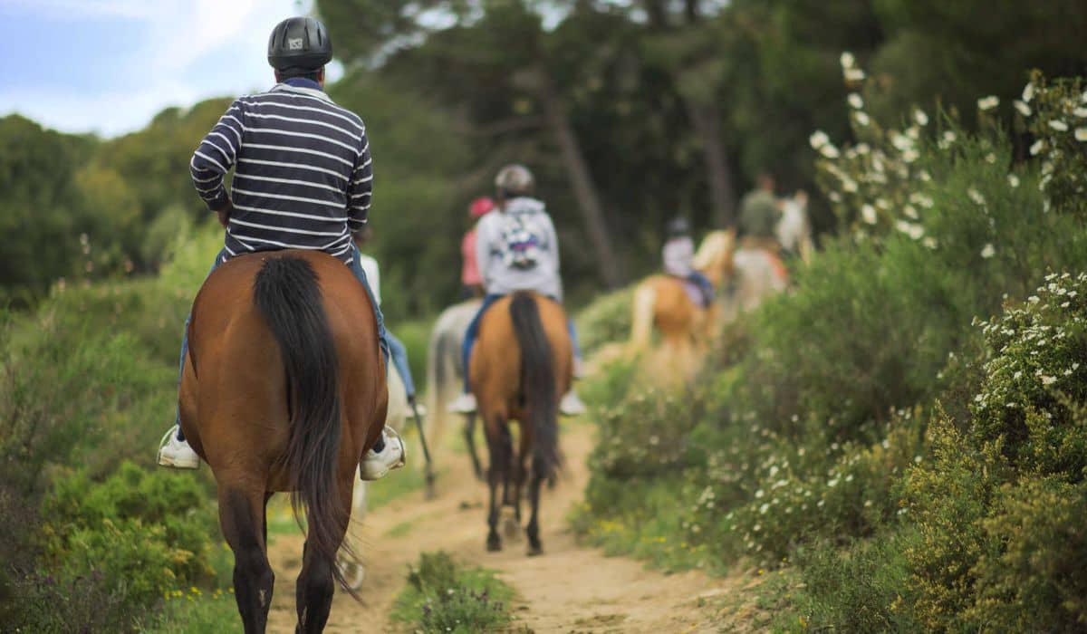 Escapada Excursión a caballo o poni por el Maresme y  Hotel - Alojamientos en Santa Susanna