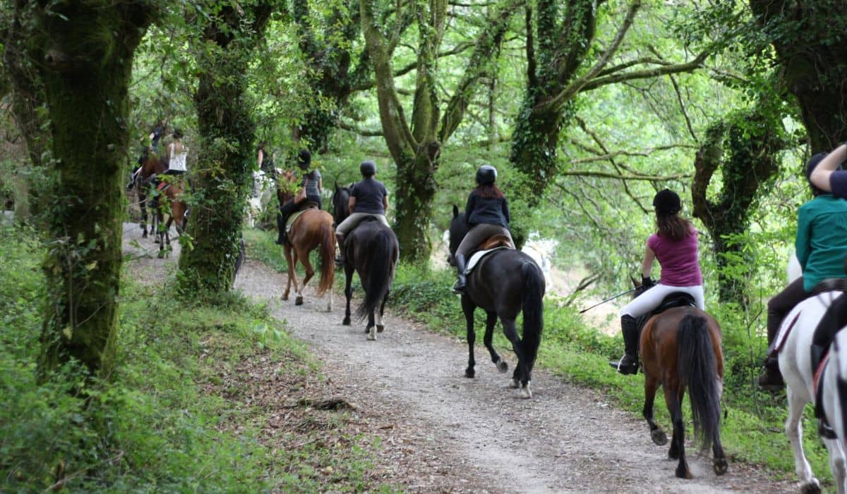 Escapada Excursión a caballo o poni por el Maresme y  Hotel - Alojamientos en Santa Susanna