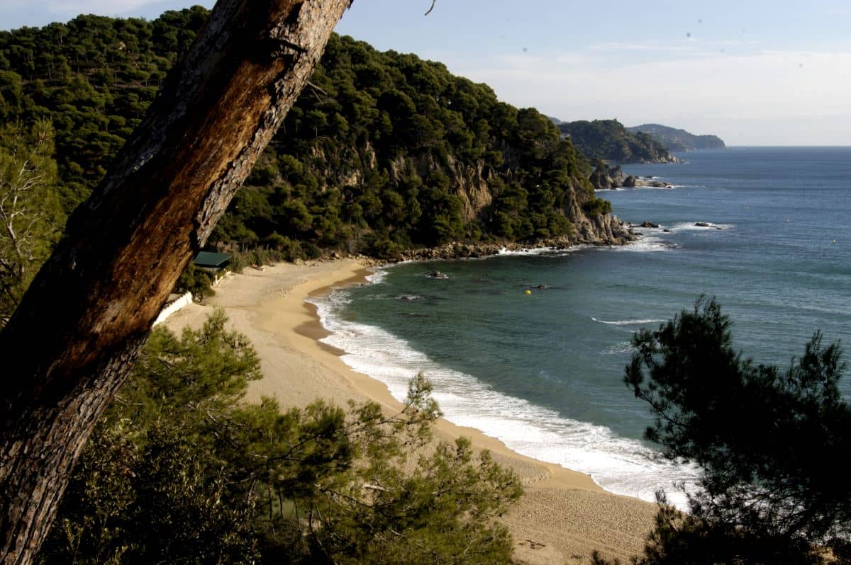 Escapada Paseo en barco a Tossa de Mar y Lloret de Mar con hotel - Alojamientos en Tossa de Mar