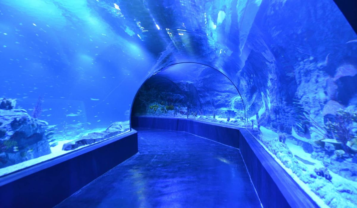Hotel + Entradas Atlantis Aquarium Madrid - Alojamientos en Madrid
