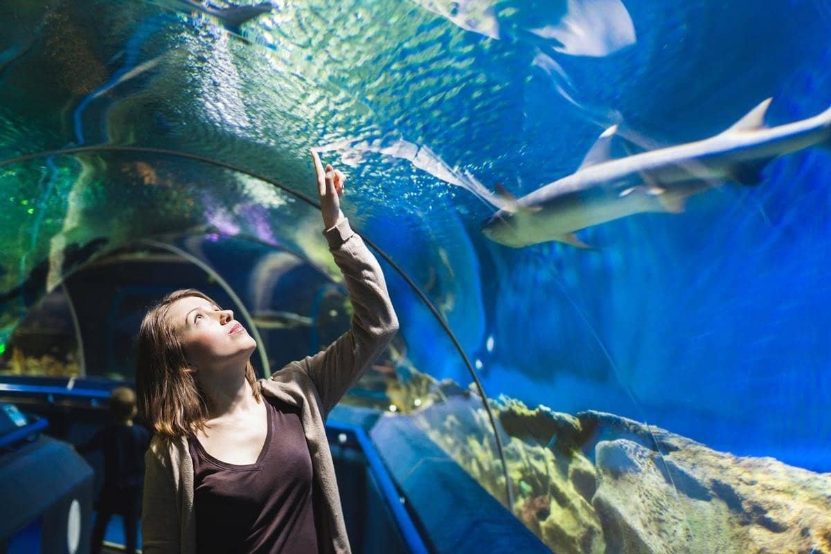 Hotel + Entradas Acuario de Gijón - Alojamientos en Gijón